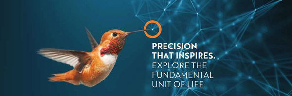 Precision that inspires