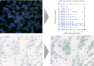 next generation digital histopathology