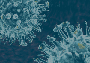 HIV Tissue Cytometry