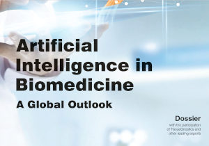 Dossier AI