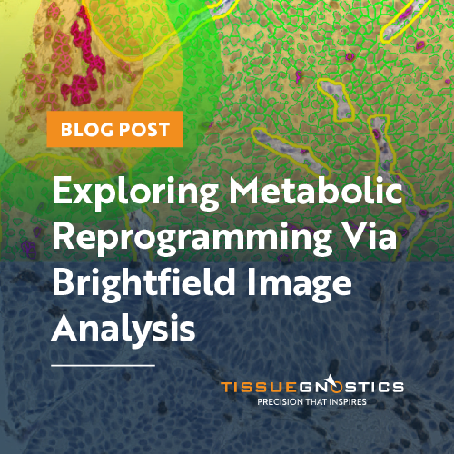 Dynamic Content Image