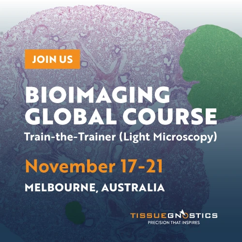 Dynamic Content Image