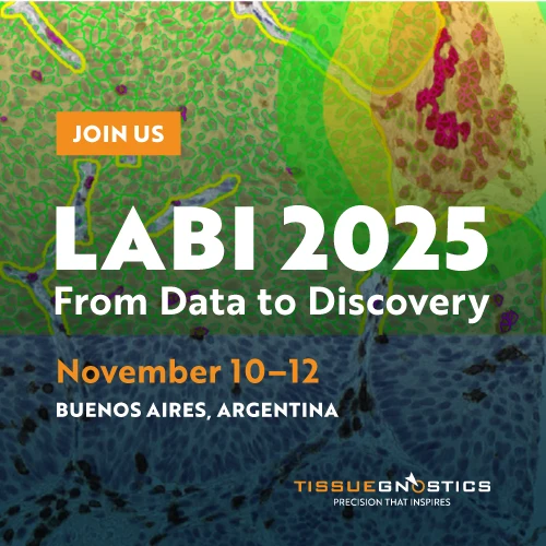 Dynamic Content Image