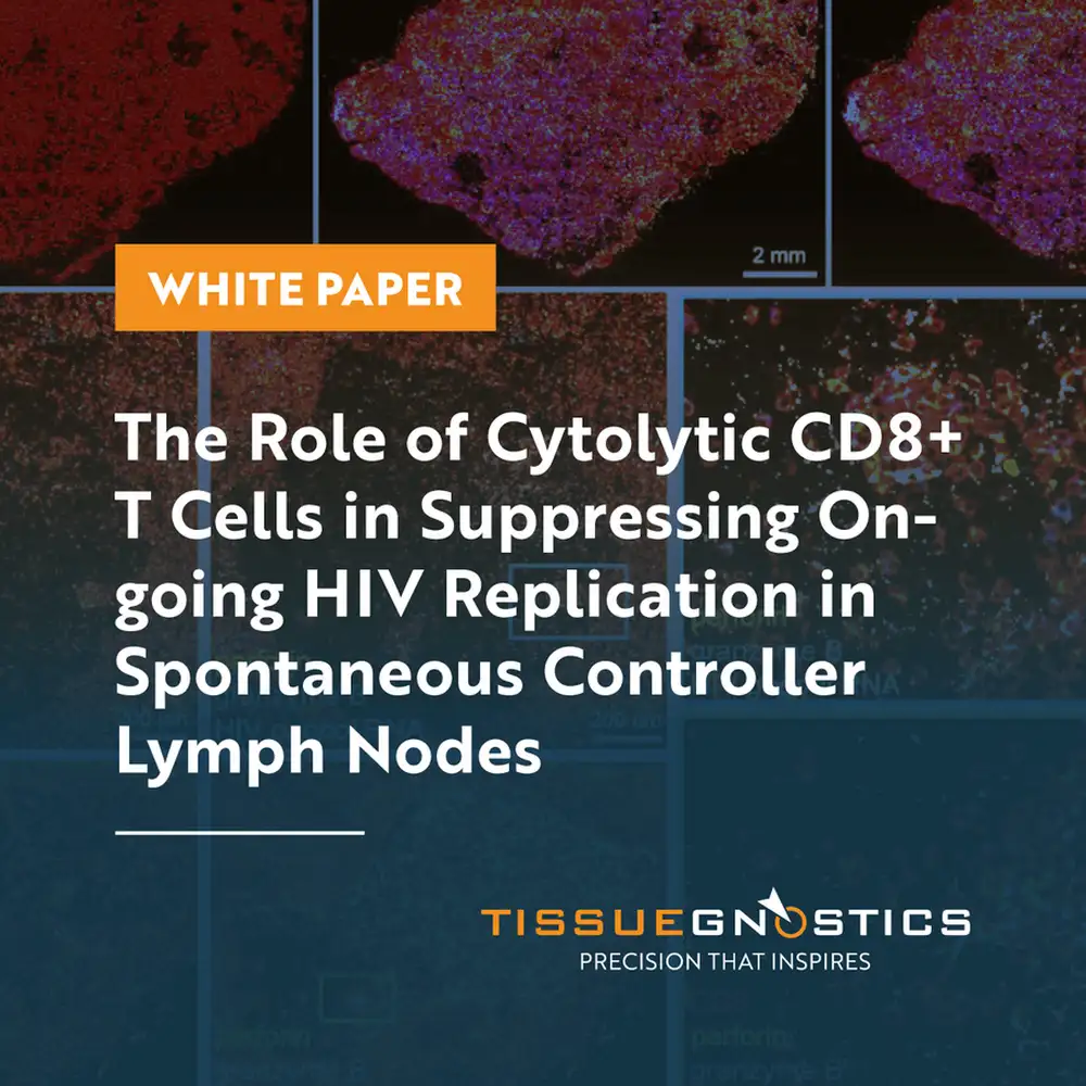 Dynamic Content Image