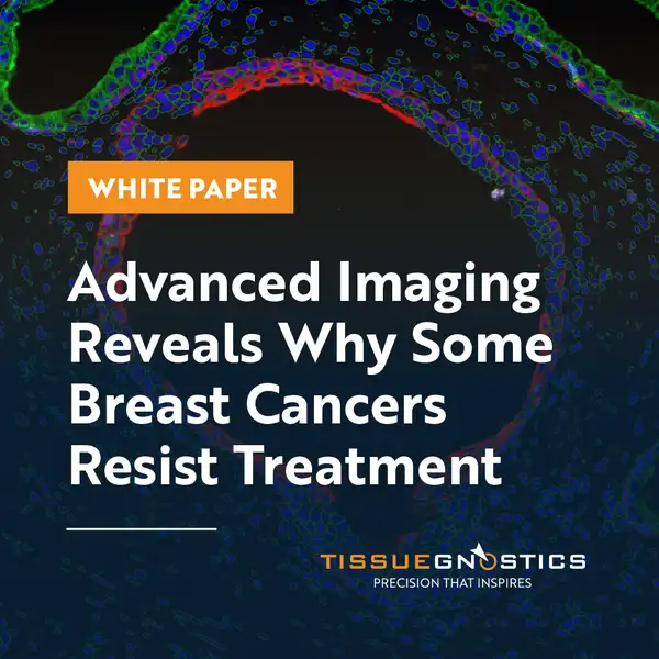 Dynamic Content Image