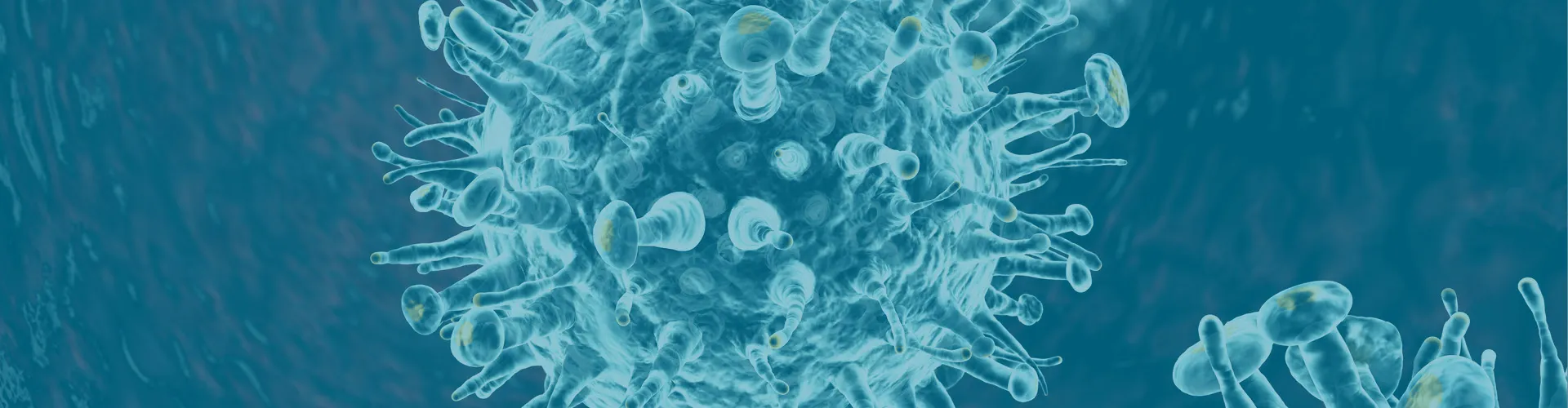 Dynamic Content Image