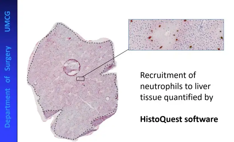 Dynamic Content Image