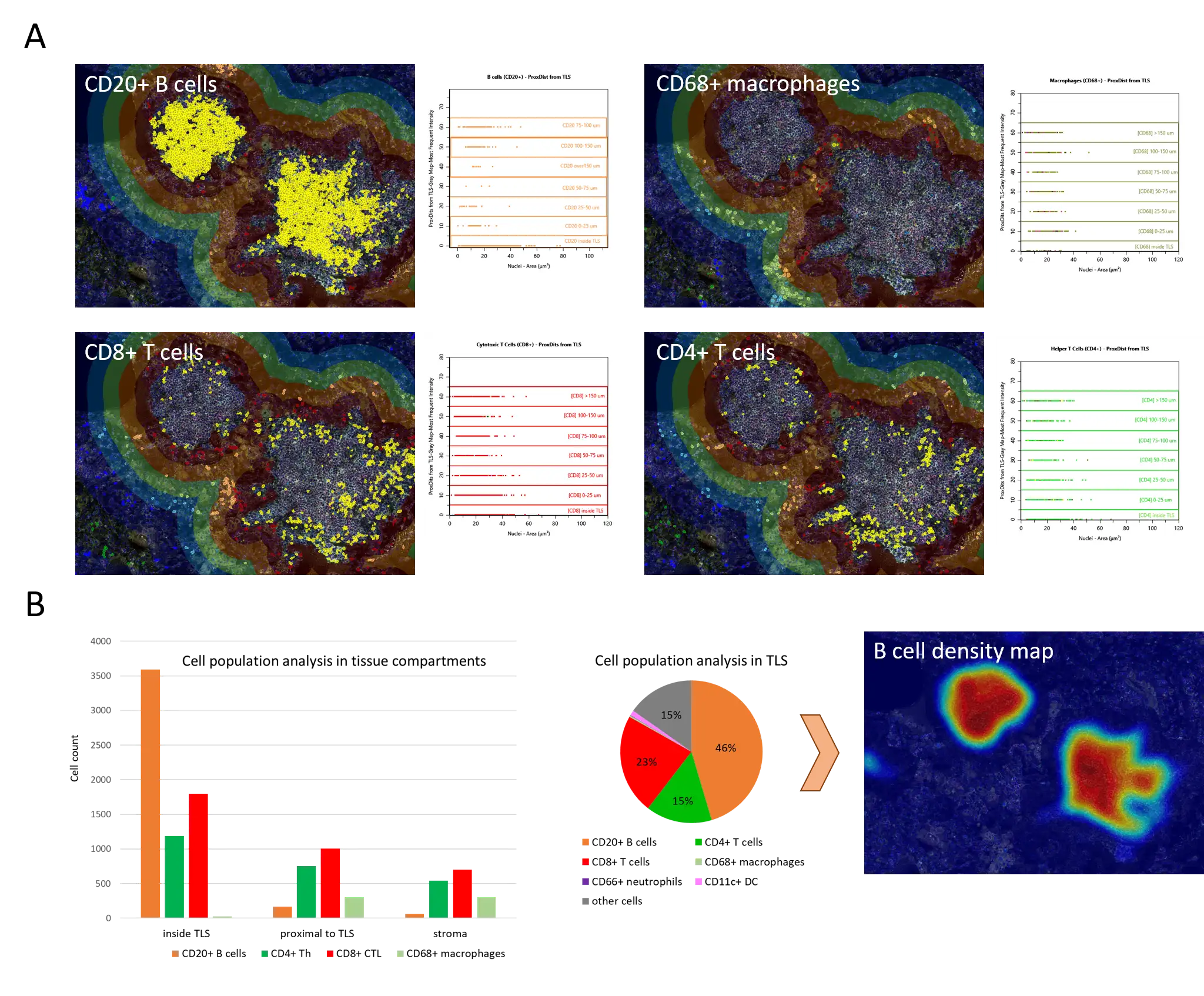 figure-3_proximity-map_cell-distribution_v5