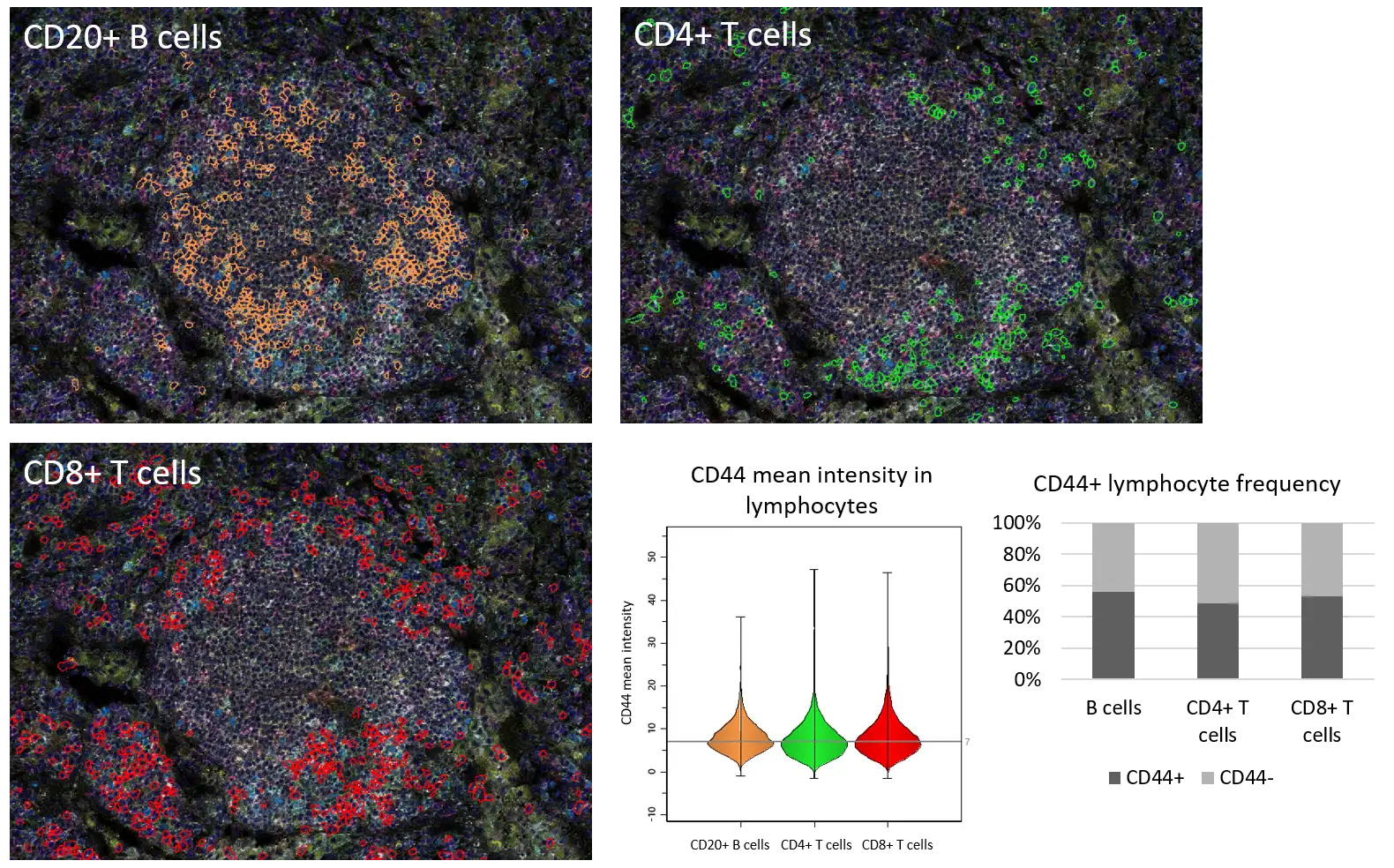 figure-4_cd44-distribution-in-leukocytes_2