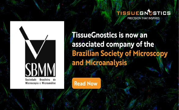 Dynamic Content Image