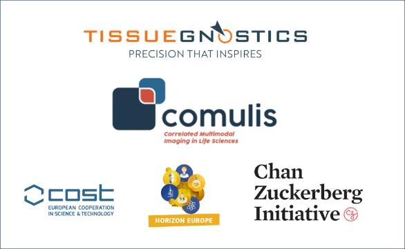 Dynamic Content Image