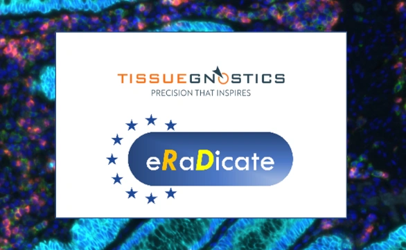 Dynamic Content Image