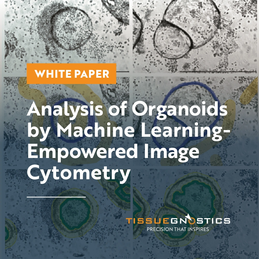 Dynamic Content Image
