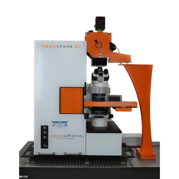 WhitePaper Striosomes TF SLQ