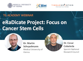 Webinar Cesar Cobaleda