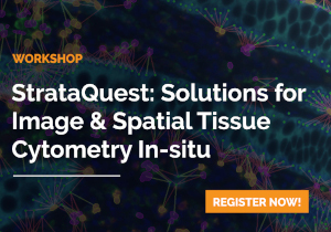 StrataQuest Workshop