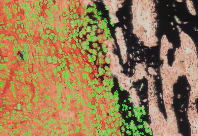 Dynamic Content Image