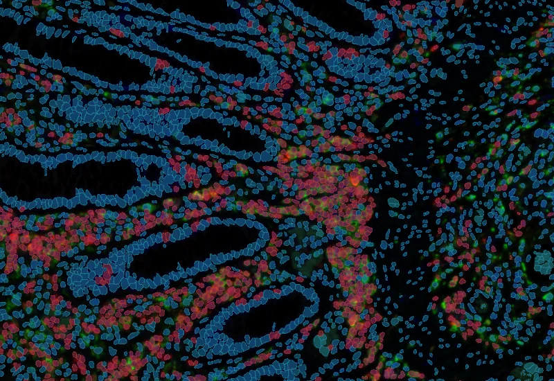 Dynamic Content Image