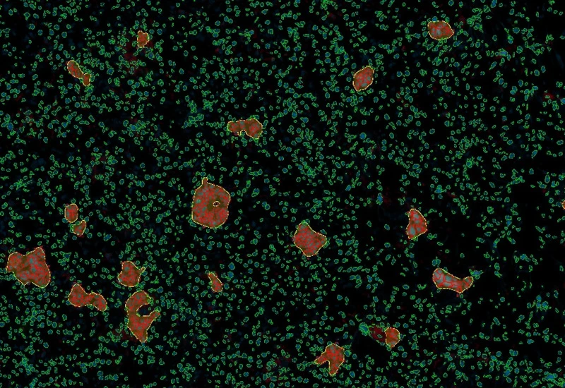 Dynamic Content Image