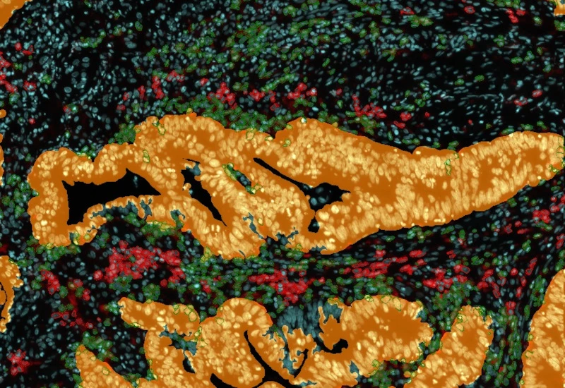 Dynamic Content Image