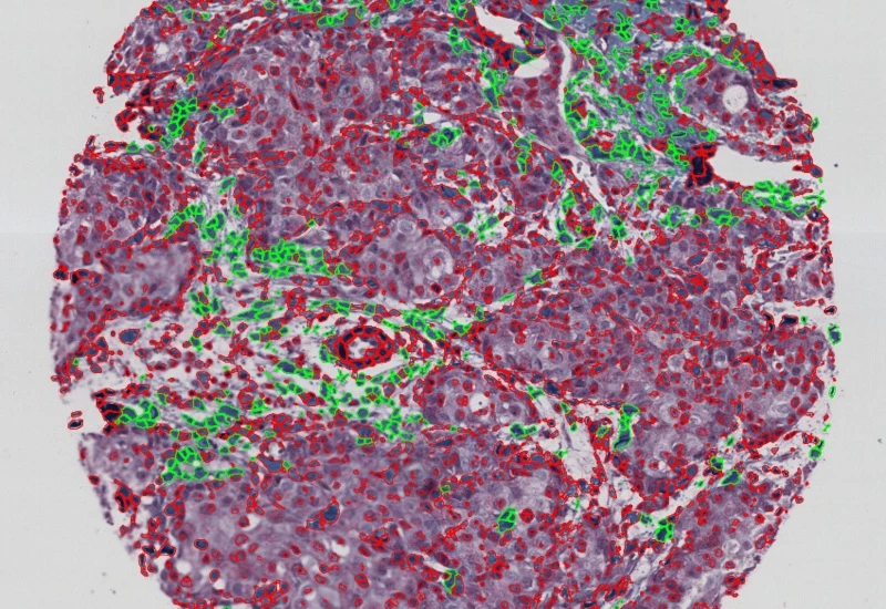 Dynamic Content Image