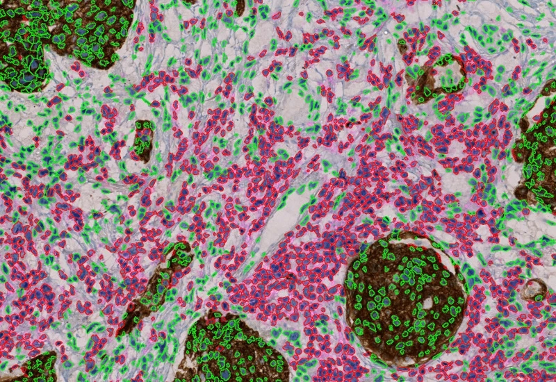 Dynamic Content Image