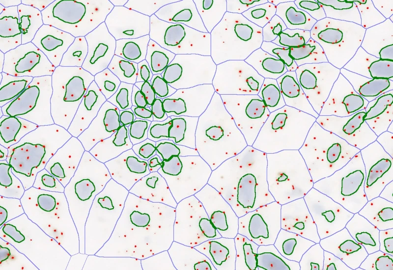 Dynamic Content Image