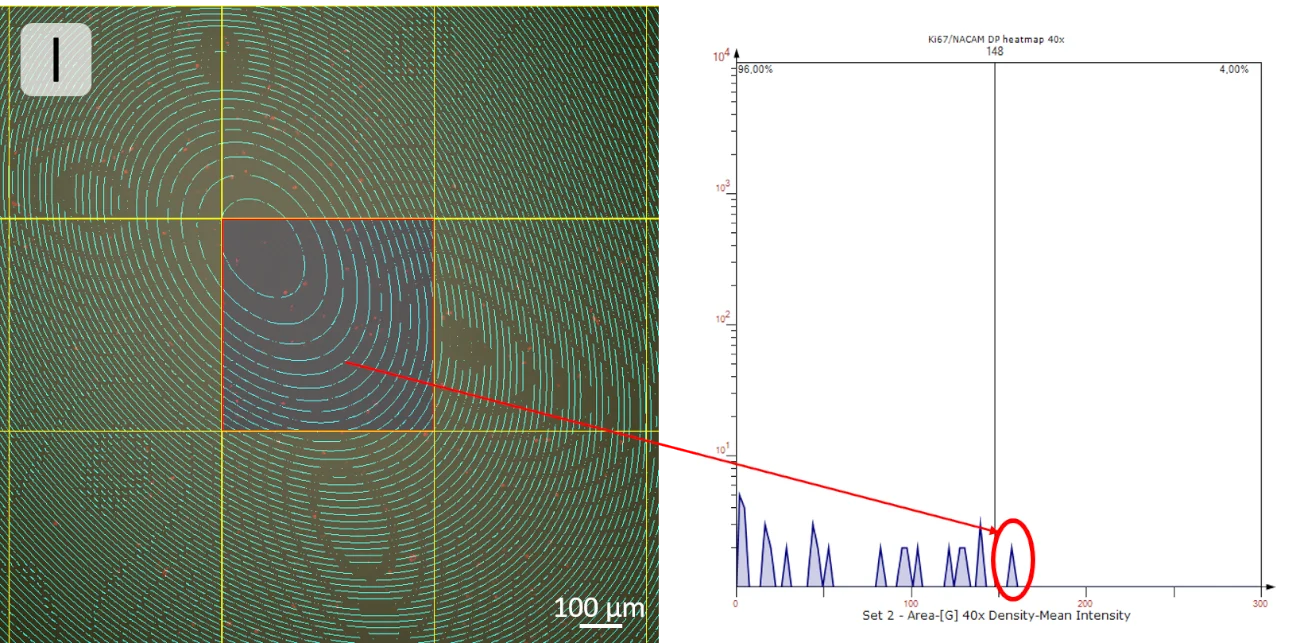 Color sep FOVs scattergram min