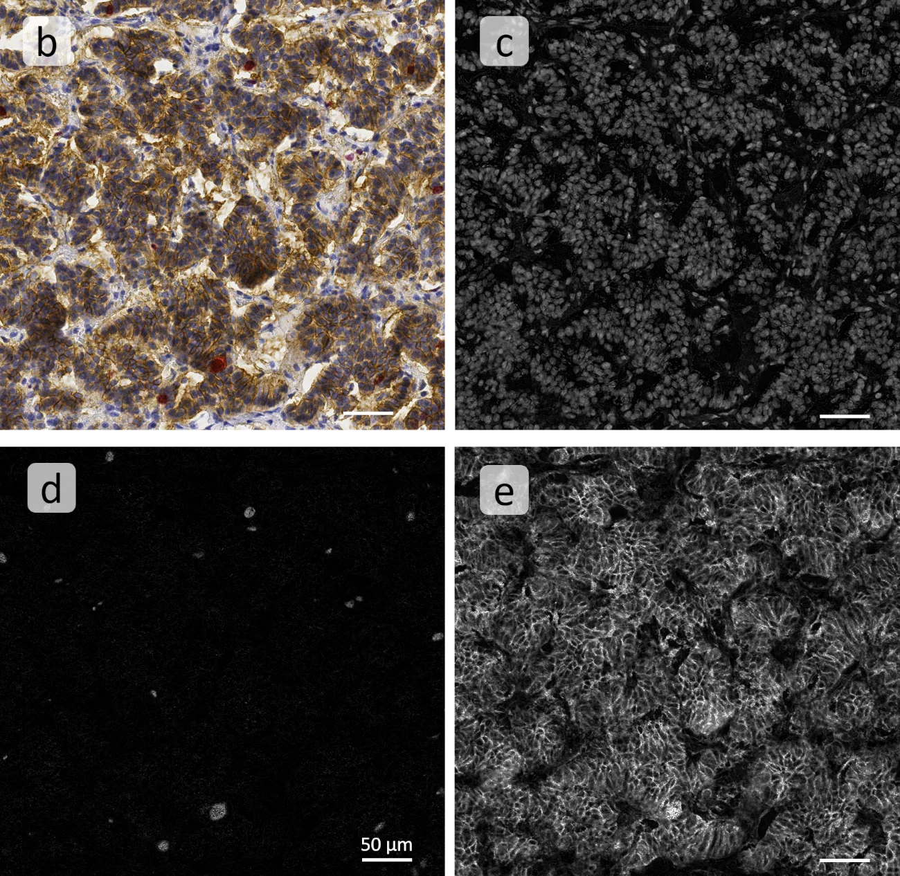 Color sep pic2 min 1