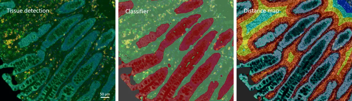 Classifier and distance map min