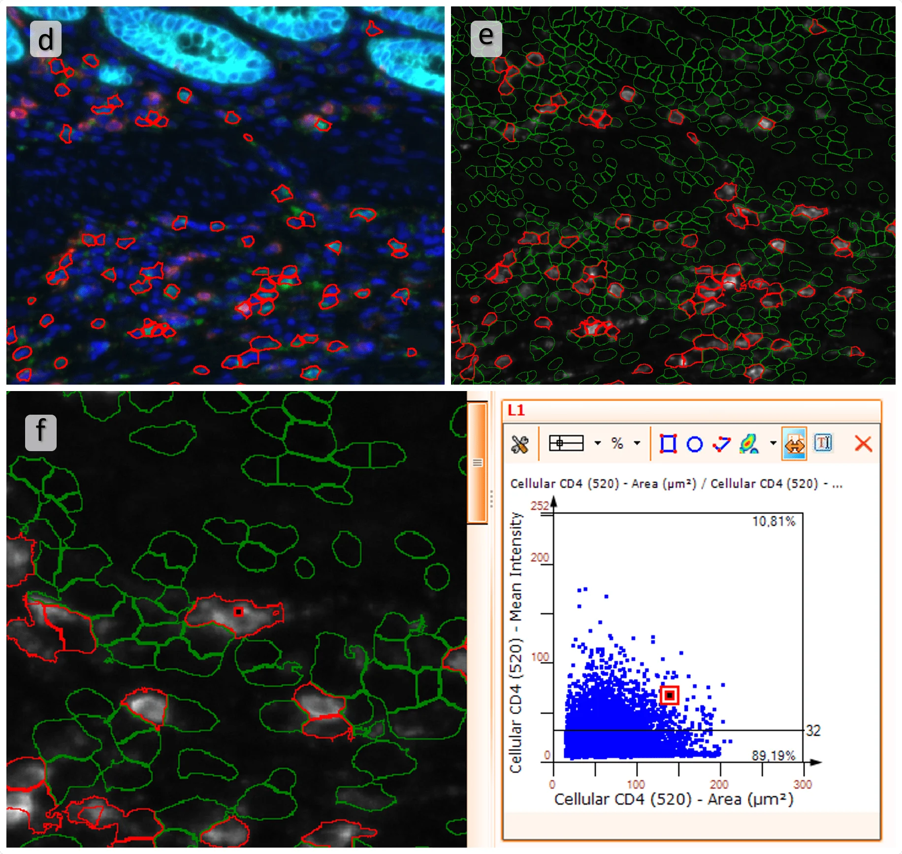 TMA spectral 4pics min