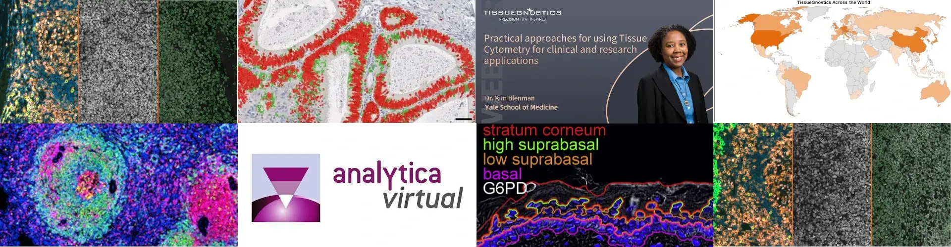 Scientific Newsletters