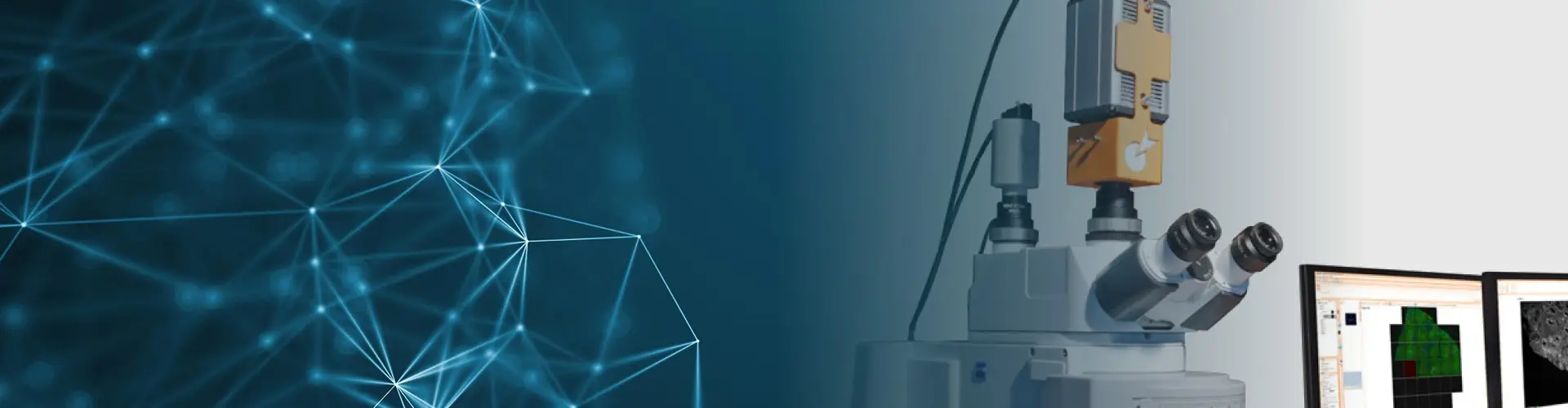 White Papers. Research powered by TissueGnostics