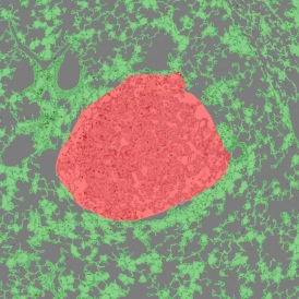 Dynamic Content Image